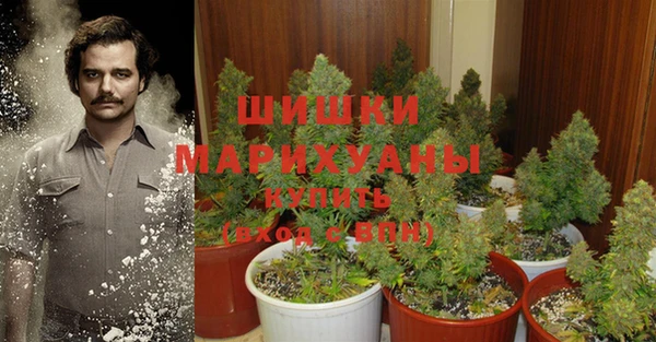 амф Богданович