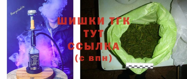 хмурый Богородицк