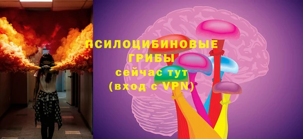 прущая мука Богородск
