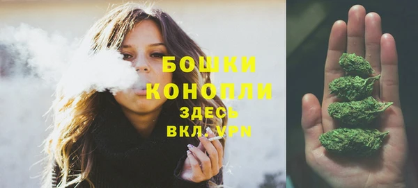 хмурый Богородицк