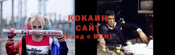 хмурый Богородицк