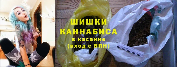 хмурый Богородицк